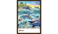 Pintoo Dolphin And Underwater Shipwreck PINU1002