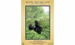 Crown & Andrews Gorillas In The Mist, Africa - 1000pcs 81904