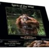 Crown And Andrews Young Male Orangutan, Borneo - 1000pc Jigsaw Puzzle CA81841 -TOY MODEL 26130