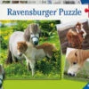 Ravensburger Friendly Ponies Puzzle 3x49pc RB09428-8 -TOY MODEL 29811
