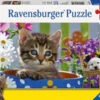 Ravensburger Dog And Cat Puzzle 2x24 Pc RB08971-0 2 Ravensburger Dog And Cat Puzzle 2x24 Pc RB08971-0 -TOY MODEL 29812