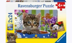 Ravensburger Dog And Cat Puzzle 2x24 Pc RB08971-0