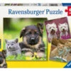 Ravensburger Cats And Dogs Puzzle 3x49pc RB09423-3 -TOY MODEL 29908