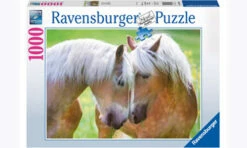 Ravensburger A Moment Together Puzzle 1000 Pc RB19485-8