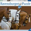 Ravensburger Elegant Horses Puzzle 1500 Pc RB16339-7 2 Ravensburger Elegant Horses Puzzle 1500 Pc RB16339-7 -TOY MODEL 32131