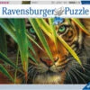Ravensburger Mysterious Tiger Puzzle 1000 Pc RB19486-5 -TOY MODEL 32258