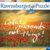 Ravensburger Collect Moments Puzzle 1000 Pc RB19507-7 -TOY MODEL 32259