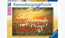 Ravensburger Collect Moments Puzzle 1000 Pc RB19507-7