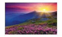 Ravensburger RB19608-1 Early Morning Mountains Nature