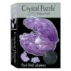 Crystal Puzzle Pearl Shell VEN901211 -TOY MODEL 34342