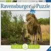 Ravensburger RB15160-8 King Of The Lions Puzzle 1000pc -TOY MODEL 38552