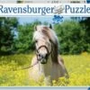 Ravensburger RB15038-0 White Horse 500pc -TOY MODEL 40003