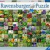Ravensburger RB15991-8 99 Herbs And Spices 1000pc 1 Ravensburger RB15991-8 99 Herbs And Spices 1000pc -TOY MODEL 40013