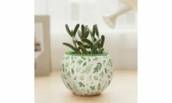 Pintoo PINK1076 Flowerpot Elegant Green