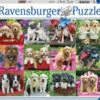 Ravensburger Puppy Pals Puzzle 500pc