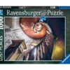 Ravensburger RB17103-3 Oak Spiral 1000pc